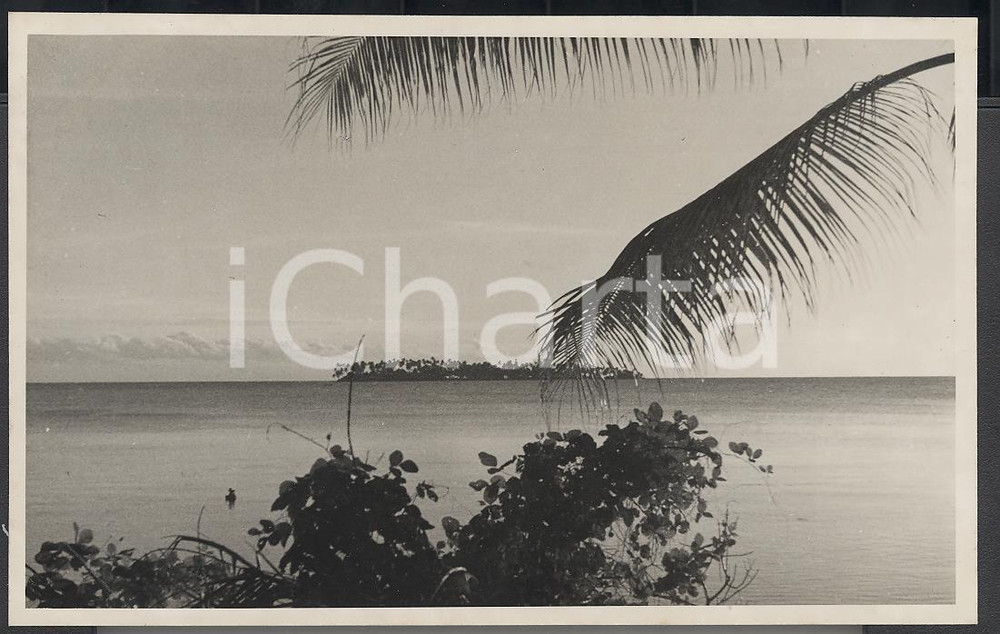 Fotografia d epoca originale 1937 POLINESIA FRANCESE Isolotto sul Recif REAL PHOTO cm 13,5 x 8,5 1