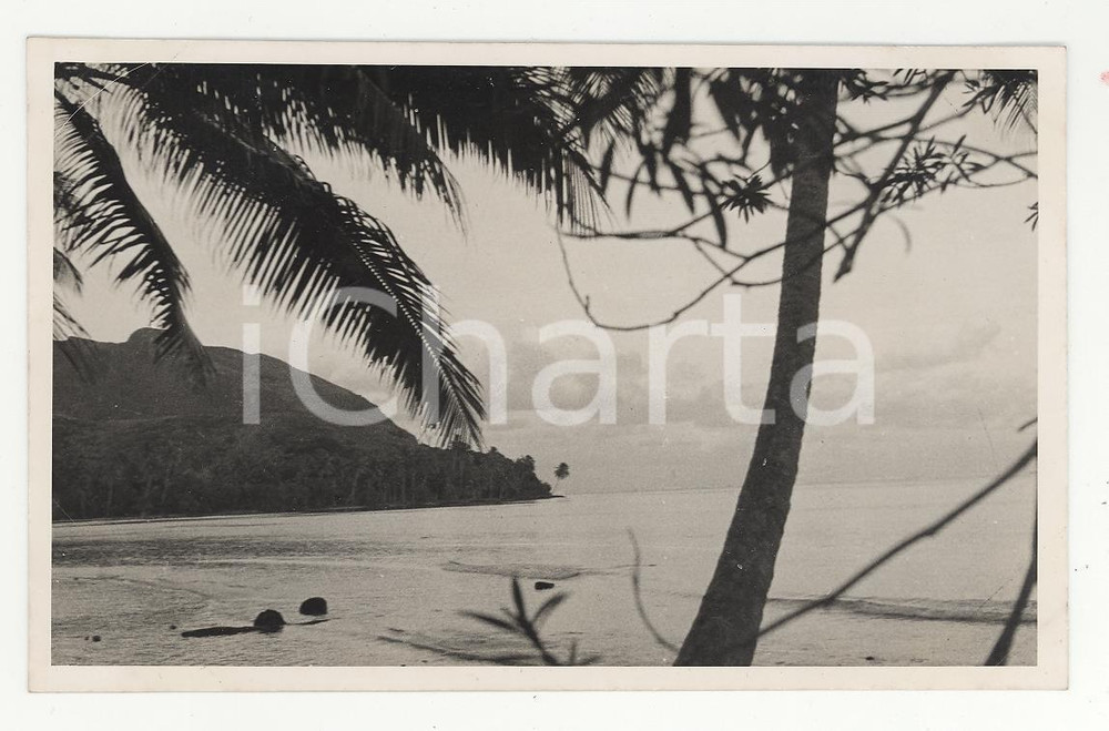 Fotografia d epoca originale 1937 HUAHINE Polinesia TAHITI Veduta panoramica REAL PHOTO cm 13,5 x 8,5 1