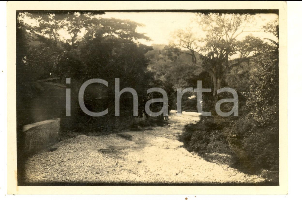 Fotografia d epoca originale 1940 ca HAITI La strada automobilistica per Santo Domingo tra i boschi  Foto 1