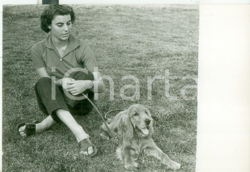 Fotografia d epoca originale 1956 RAPALLO Concorso Ippico  Antonella PIAGGIO in compagnia del suo cane 1