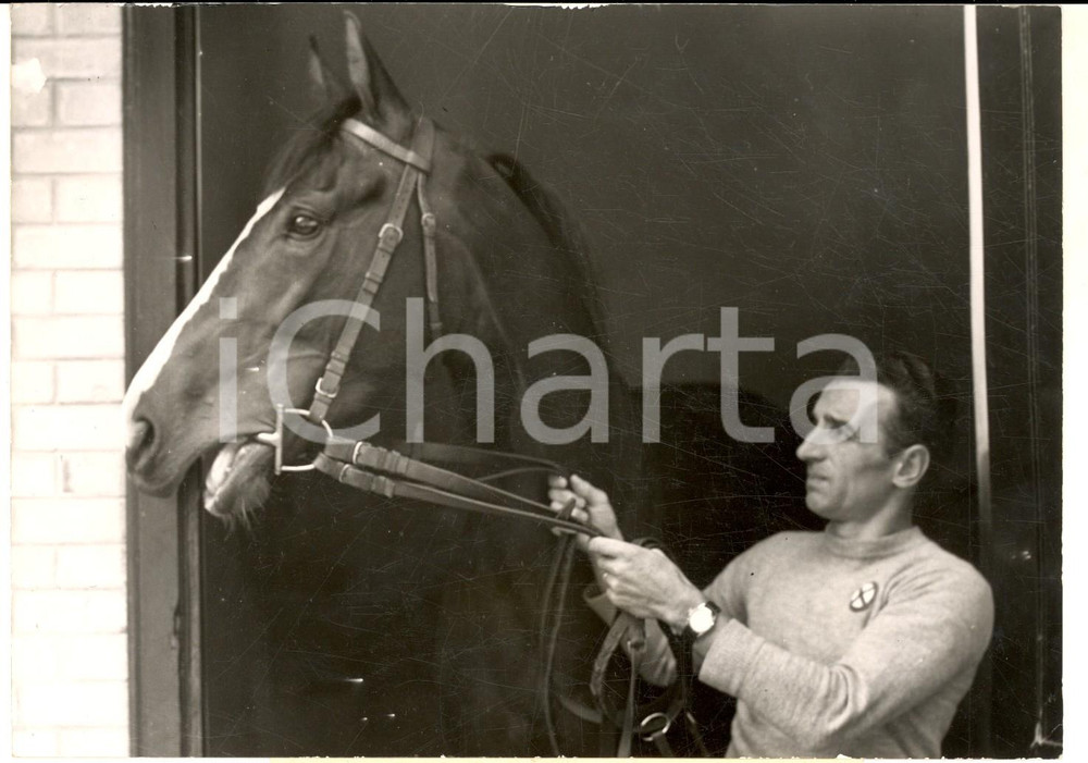 Fotografia d epoca originale 1955 PARIS LONGCHAMP Il celebre cavallo italiano BOTTICELLI nel box Foto 1