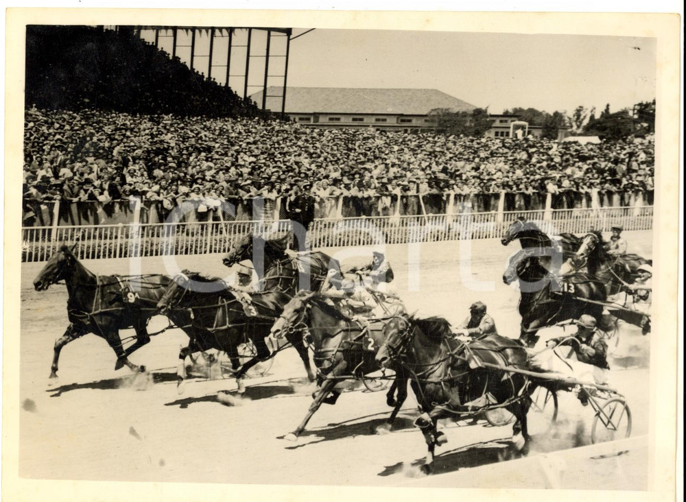 Fotografia d epoca originale 1954 ADDINGTON NEW ZEALAND Royal Tour  Finish of a Handicap Race for trotters 1