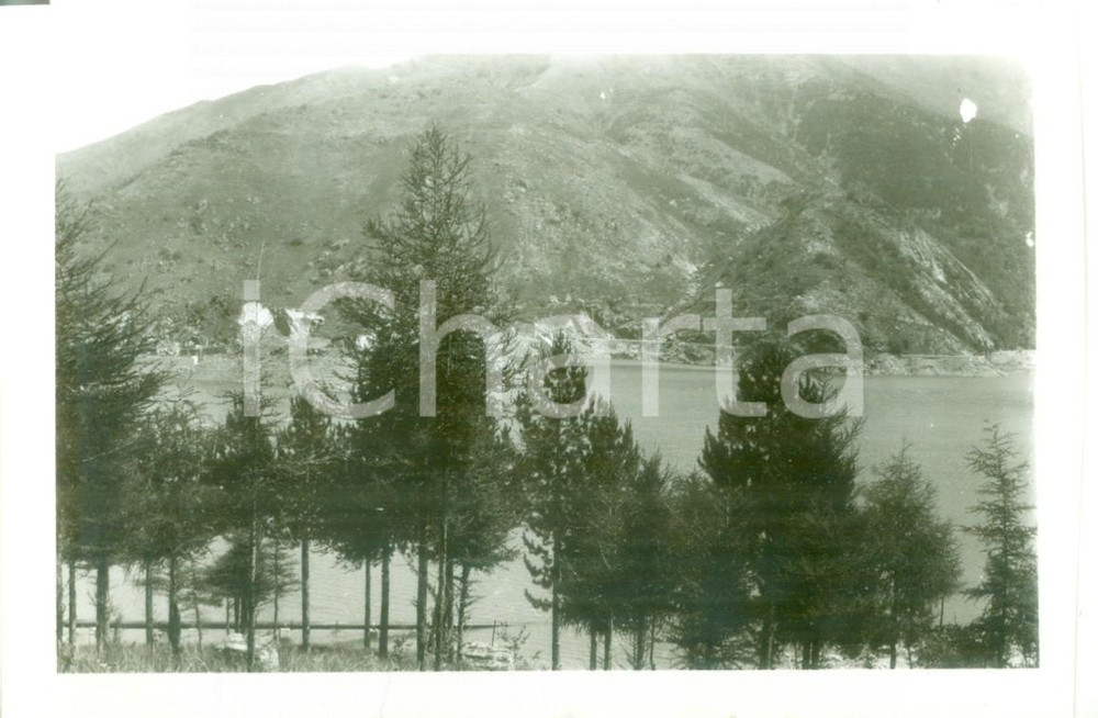 Fotografia d epoca originale 1931 APPENNINO LIGURE Foresta di conifere lungo le sponde dei laghi del GORZENTE 1