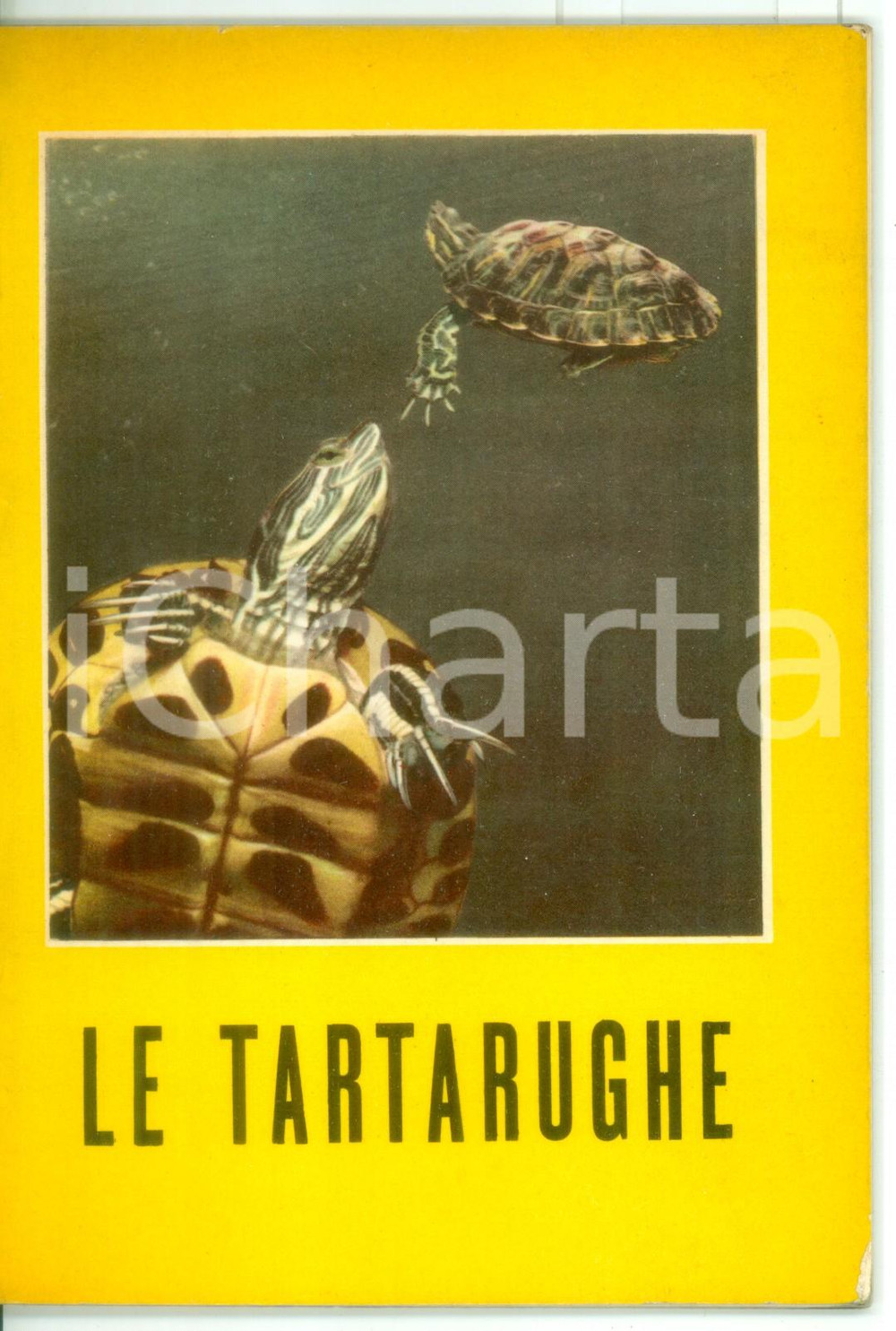 Libro, pubblicazione d epoca 1957 AA.VV. Le tartarughe  Editore ANTONIO VALLARDI  Pubblicazione 31 pp. 1