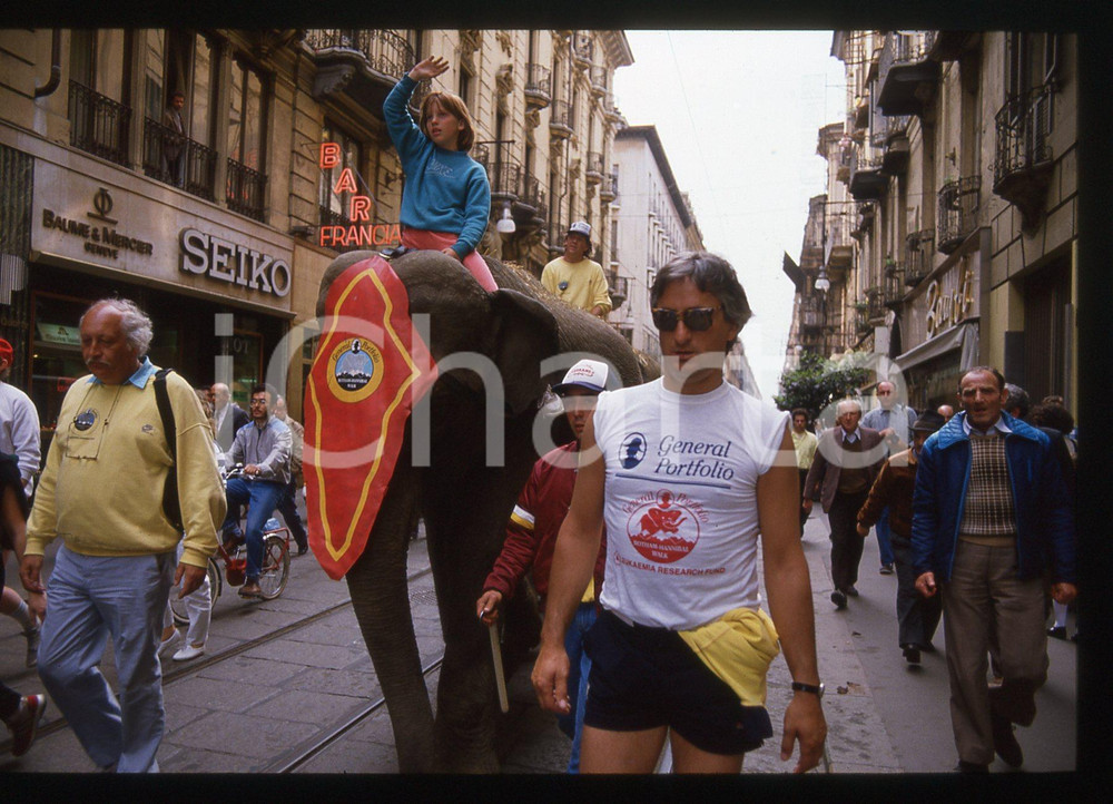35mm vintage slide*1988 TORINO IAN BOTHAM HANNIBAL WALK Sarah BOTHAM su elefante