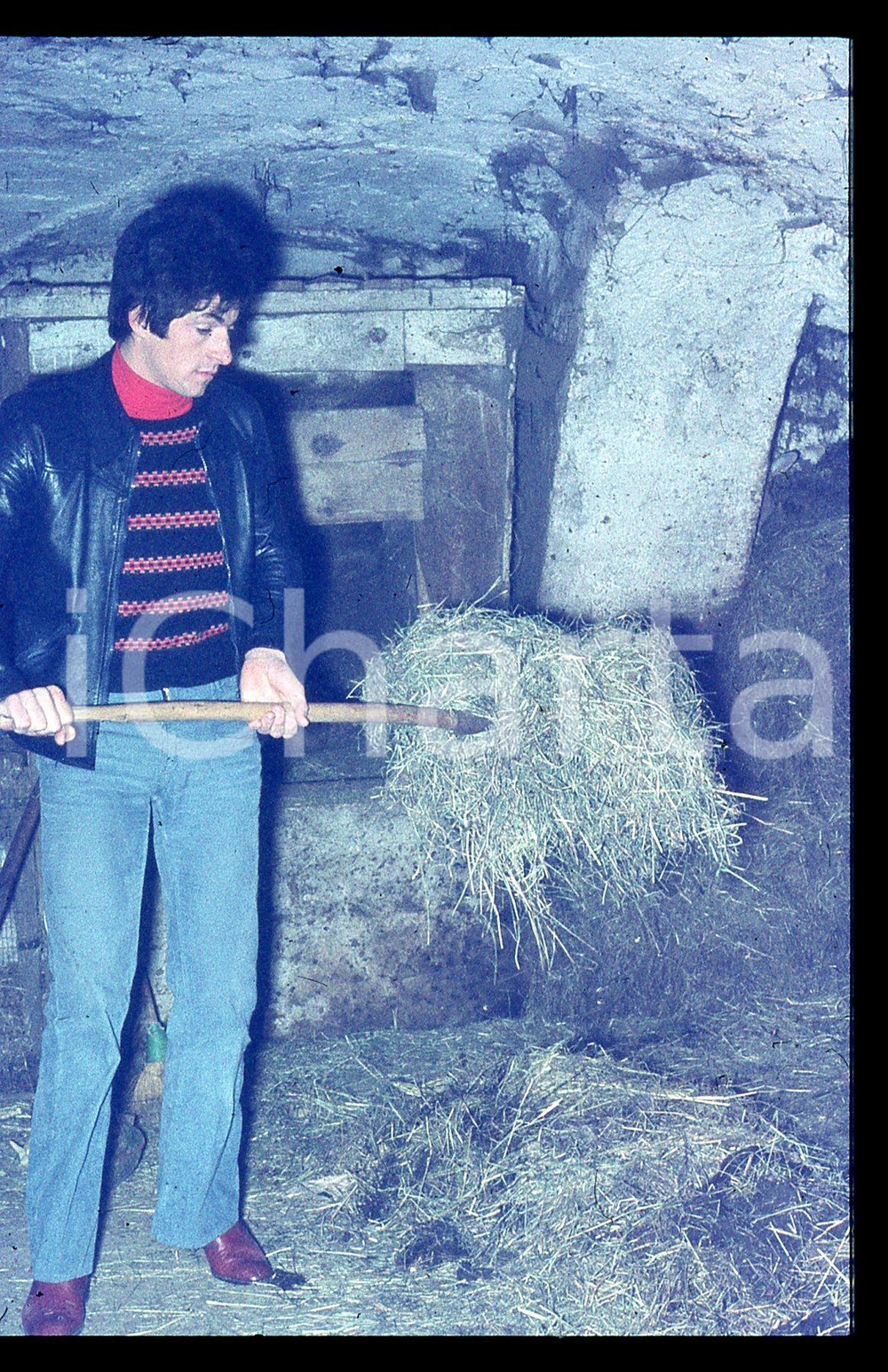 35mm vintage slide* 1970 ca GIOVO Francesco MOSER pulisce la stalla *CICLISMO 3