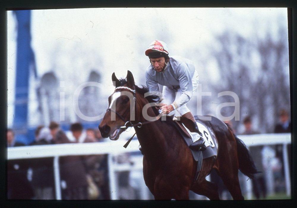 Fotografia d epoca originale 35mm vintage slide 1980 ca UNITED KINGDOM  Lester PIGGOTT Jockey s Portrait 1