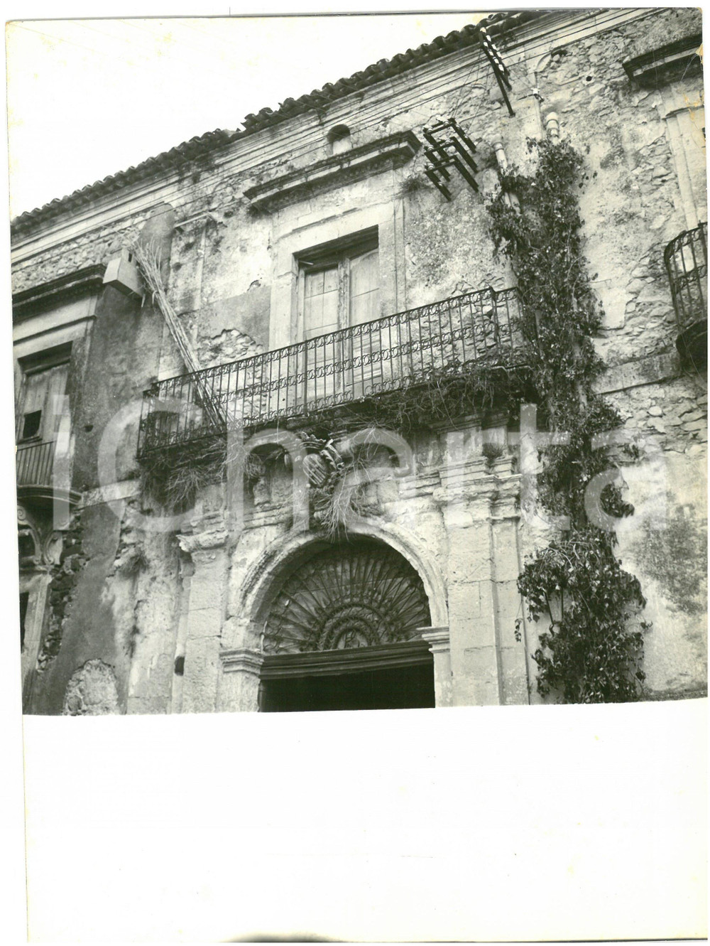 1964 VIZZINI (CT) Ingresso di Palazzo TRAO VENTIMIGLIA *Foto 18x24 cm