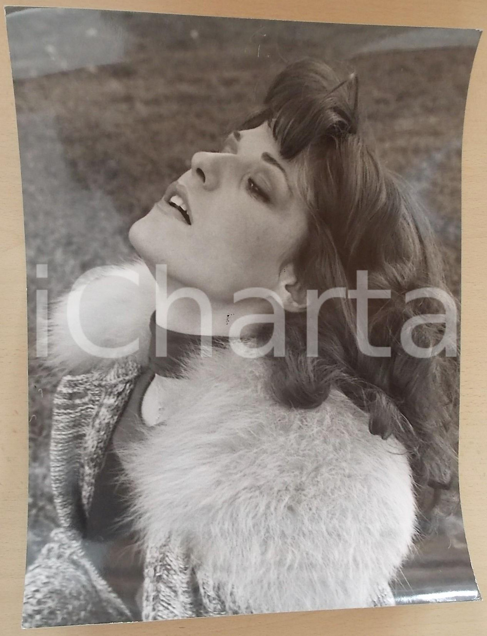 1970 ca COSTUME ITALIA Ritratto della cantante Mita MEDICI (4) Foto 27x36 cm