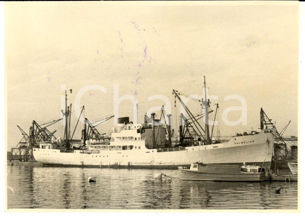 Fotografia d epoca originale 1955 ca GENOVA Nave cargo PALMELIAN ancorata in porto  Foto VINTAGE 17x12 cm 1