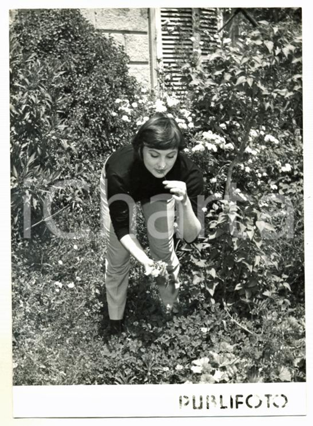 Fotografia d epoca originale 1958 NAPOLI L’attrice Hélène Rémy coglie fiori sul terrazzo Foto 13x18 cm 1