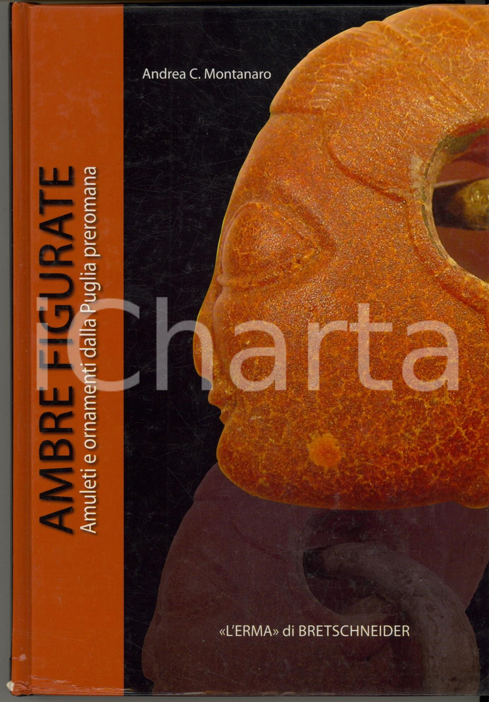 2012 Andrea C. MONTANARO Ambre figurate. Amuleti Puglia preromana (3)