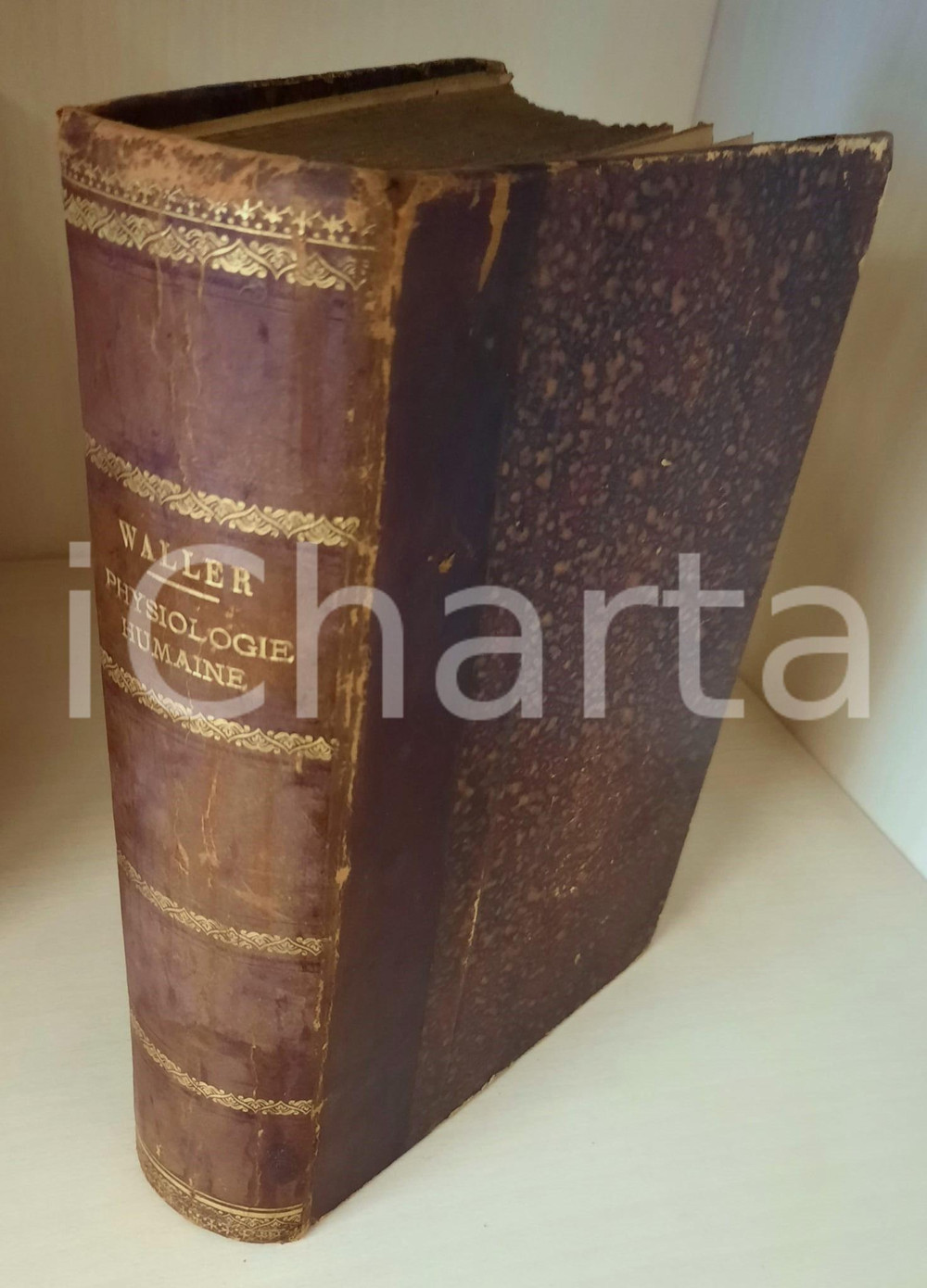 1898 Augustus WALLER Eléments de physiologie humaine *Ed. MASSON