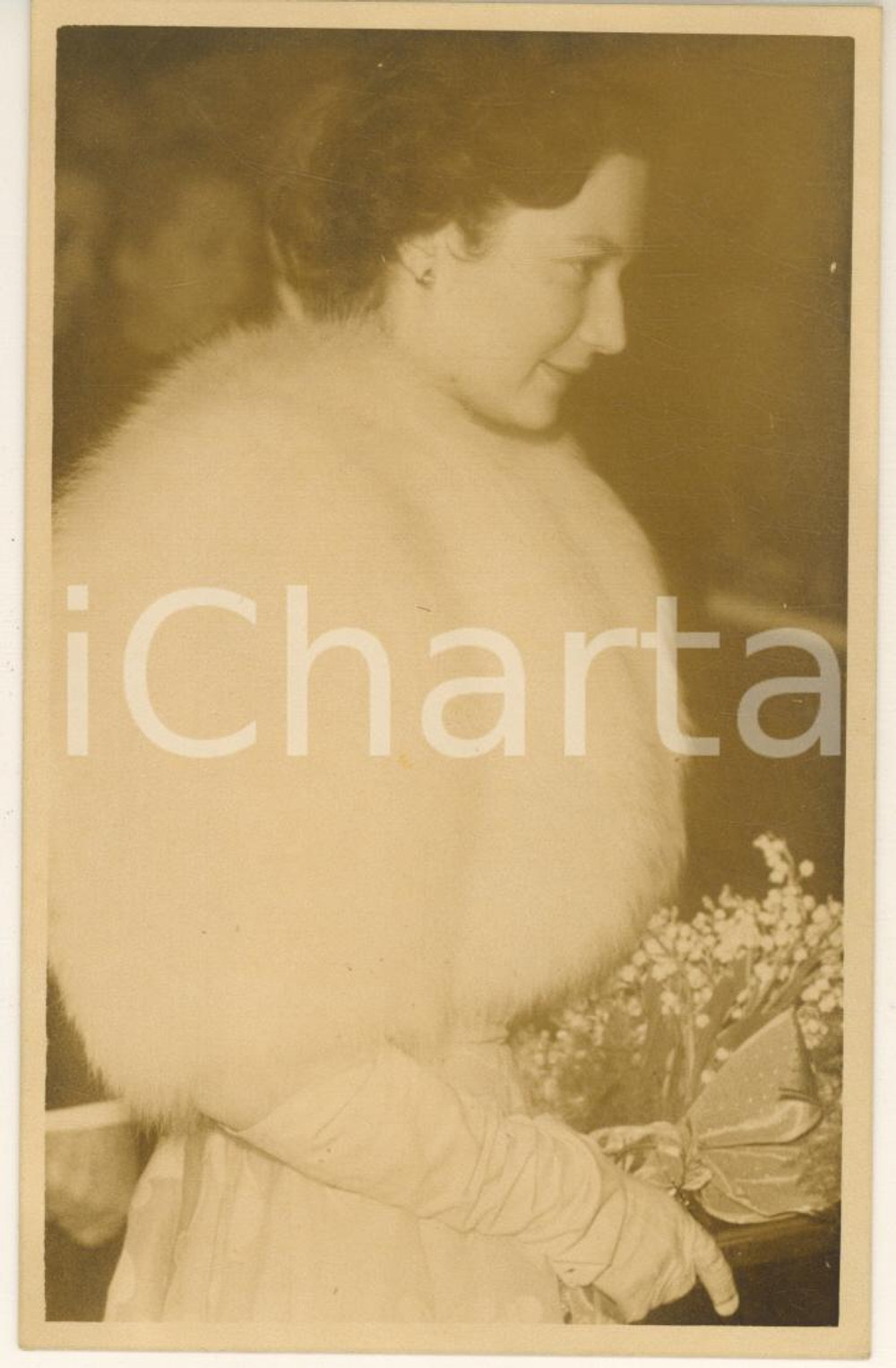 Cartolina originale da collezione 1950 ca Principessa JoséphineCharlotte de BELGIQUE in pelliccia Foto 1