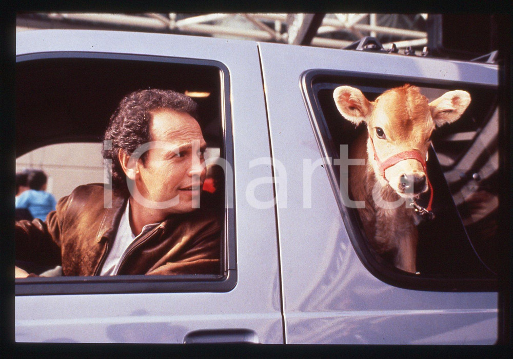 35mm vintage slide* 1991 CITY SLICKERS Billy CRYSTAL in una scena del Film (7)