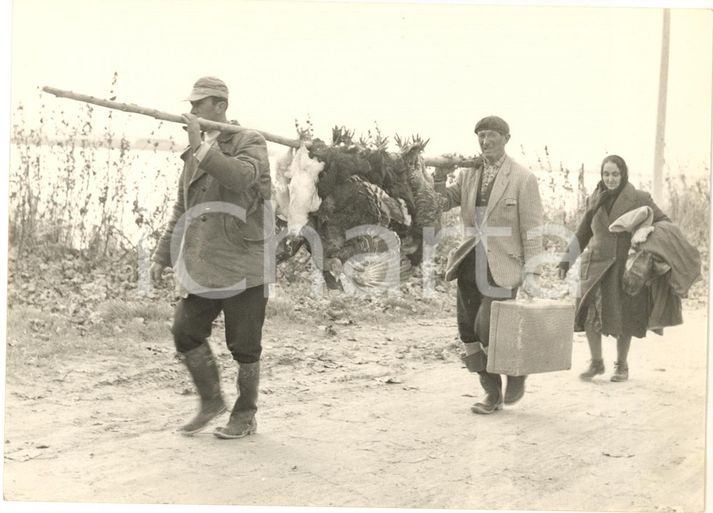 1957 ALLUVIONE POLESINE CA' ZULIANI Famiglia porta in salvo gli animali *Foto Fotografia d'epoca. CONDIZIONI: G (lieve piegatura al margine superiore)FORMATO: 18x13 cm      originale e autentica 1