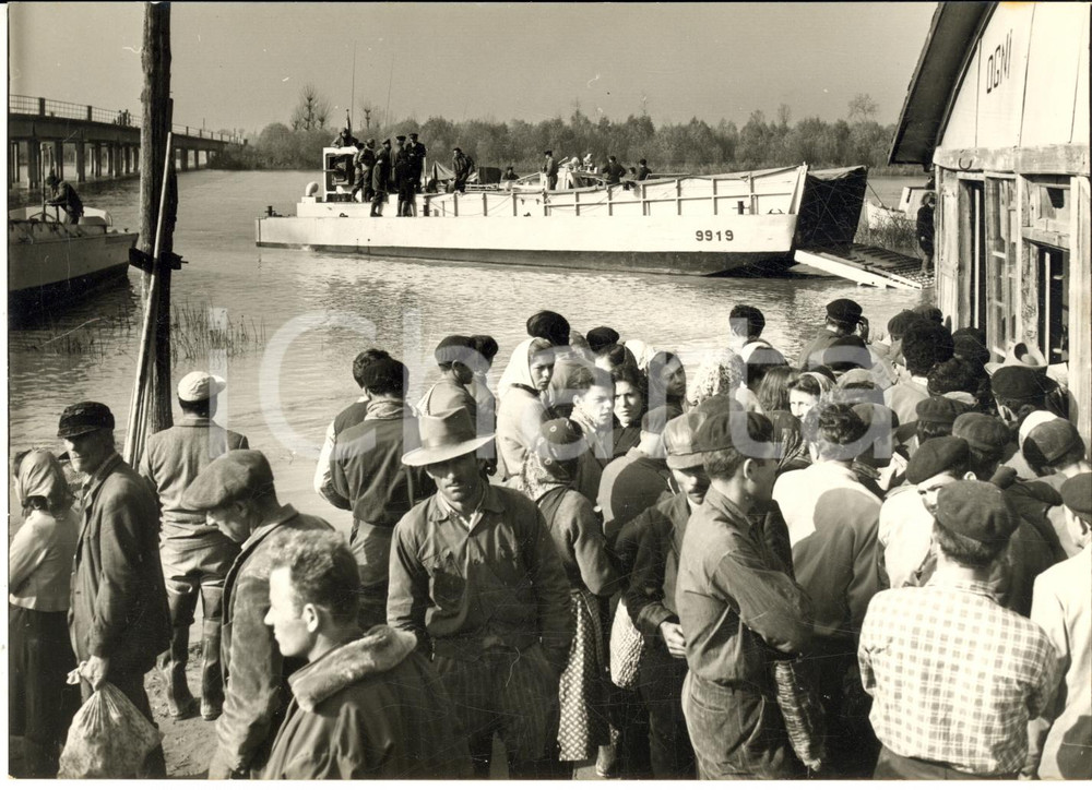 1957 ALLUVIONE POLESINE CAMERINI Sfollati sulle rive in attesa di soccorsi *Foto