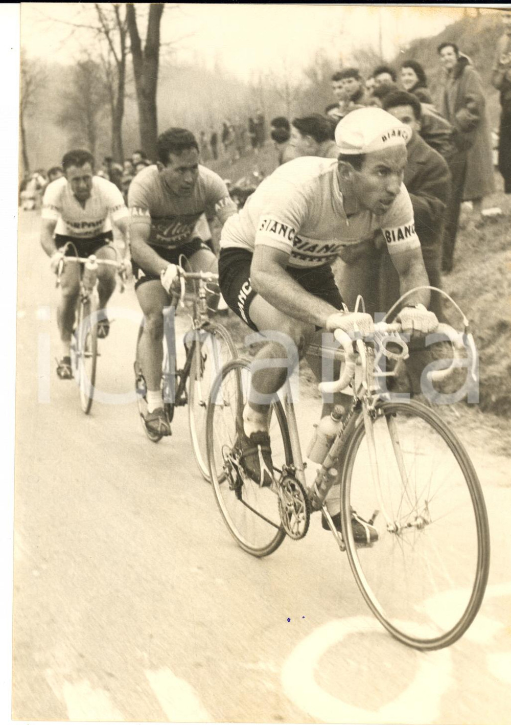 1957 CICLISMO MILANO-TORINO Nino DEFILIPPIS Bruno MONTI Fred DE BRUYNE Foto