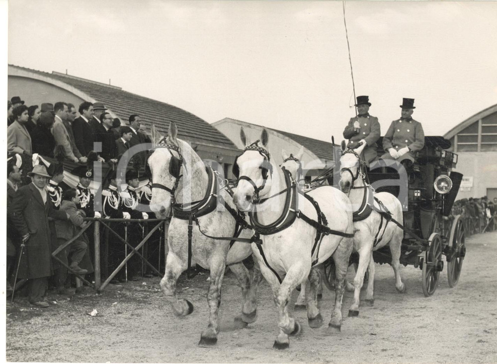 1955 ca VERONA Fiera dei Cavalli - Quadriglia sfila davanti al pubblico - Foto Fotografia d'epoca con didascalia coeva al verso. CONDIZIONI: G (lievi sovraimpressioni)FORMATO: 18x13 cm     originale e autentica 1