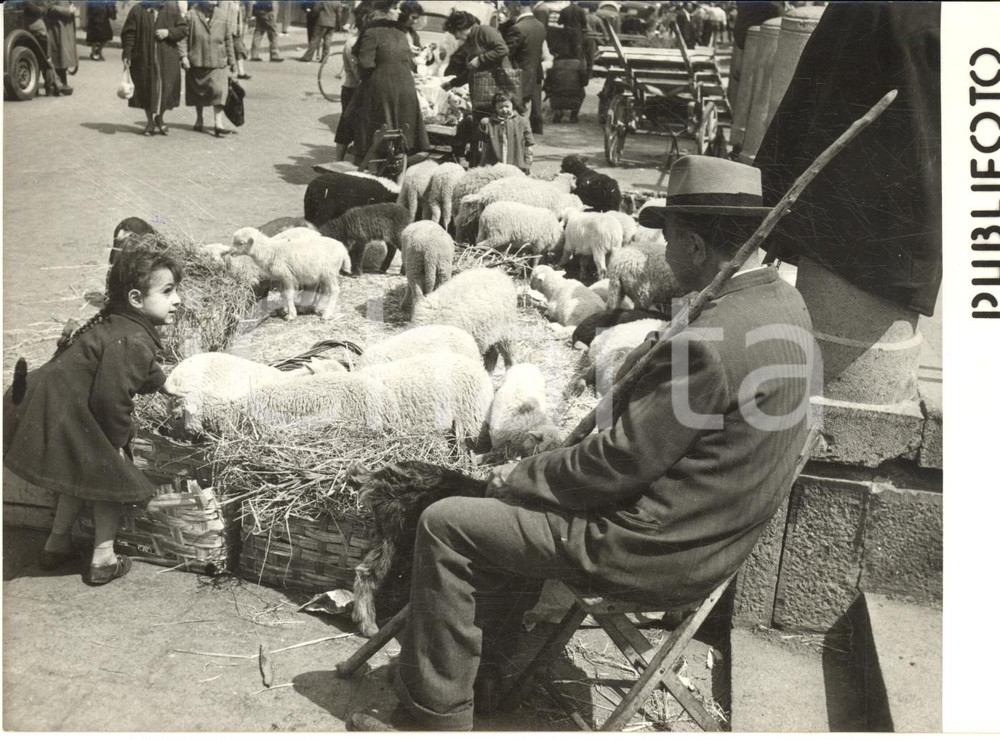1958 NAPOLI Mercato di Pasqua - Bambini attratti dagli agnelli *Foto 18x13 cm  Fotografia d'epoca con didascalia coeva al verso.   CONDIZIONI: G FORMATO: 18x13 cm     originale e autentica 1