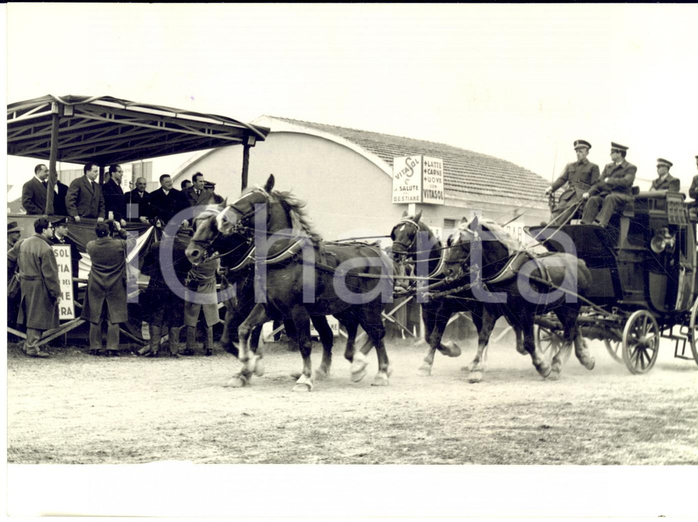 1957 FIERA DI VERONA Ministro COLOMBO alla sfilata dei cavalli - Foto 18x13 Fotografia d'epoca con didascalia coeva al verso. CONDIZIONI: FAIR (ondulature al margine superiore e macchie)FORMATO: 18x13 cm     originale e autentica 1