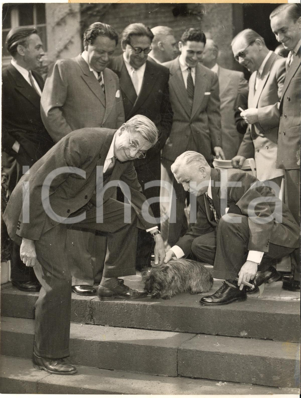 1953 DUSSELDORF High Commissioner James B. CONANT with the dog of consul BALDWIN Fotografia d'epoca, con didascalia dattiloscritta coeva.  CONDIZIONI: POOR (puntinature; piegature al lato sinistro e piccola sovraimpressione circolare)FORMATO: 15x20 cm     originale e autentica 1