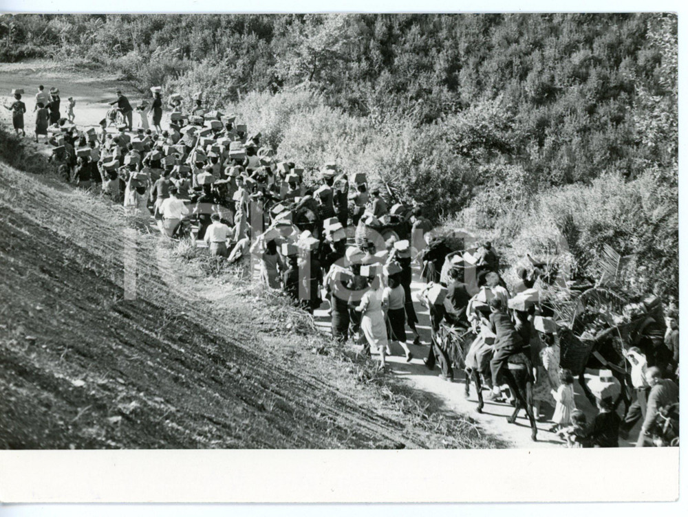 1955 ca VISCIANO Fedeli trasportano pietre per l'orfanotrofio Arturo D'ONOFRIO
