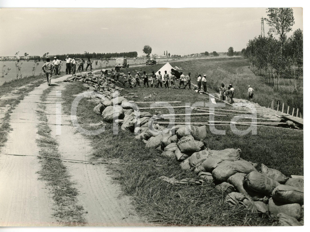 1958 ALLUVIONE PORTO TOLLE - DONZELLA Contadini costruiscono una barricata  Fotografia d'epoca con didascalia coeva al verso. CONDIZIONI: GFORMATO: 18x13 cm     originale e autentica 1