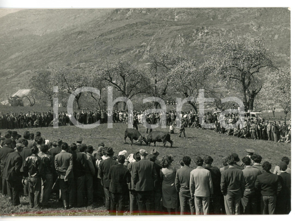 1957 SAINT-MARCEL Folla assiste alla "Battaglia delle Regine" *Foto 18x13 Fotografia d'epoca con didascalia coeva al verso. CONDIZIONI: GFORMATO: 18x13 cm     originale e autentica 1
