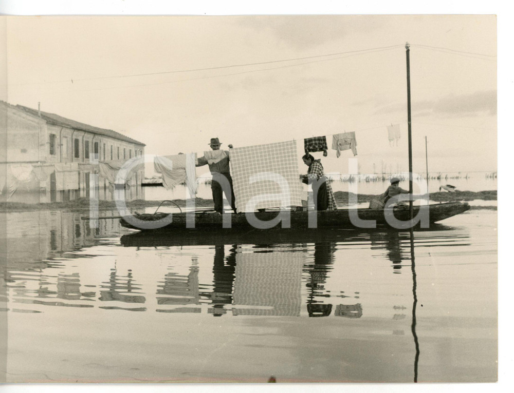 1957 PORTO TOLLE POLESINE CAMERINI Alluvionati stendono i panni *Foto ARTISTICA