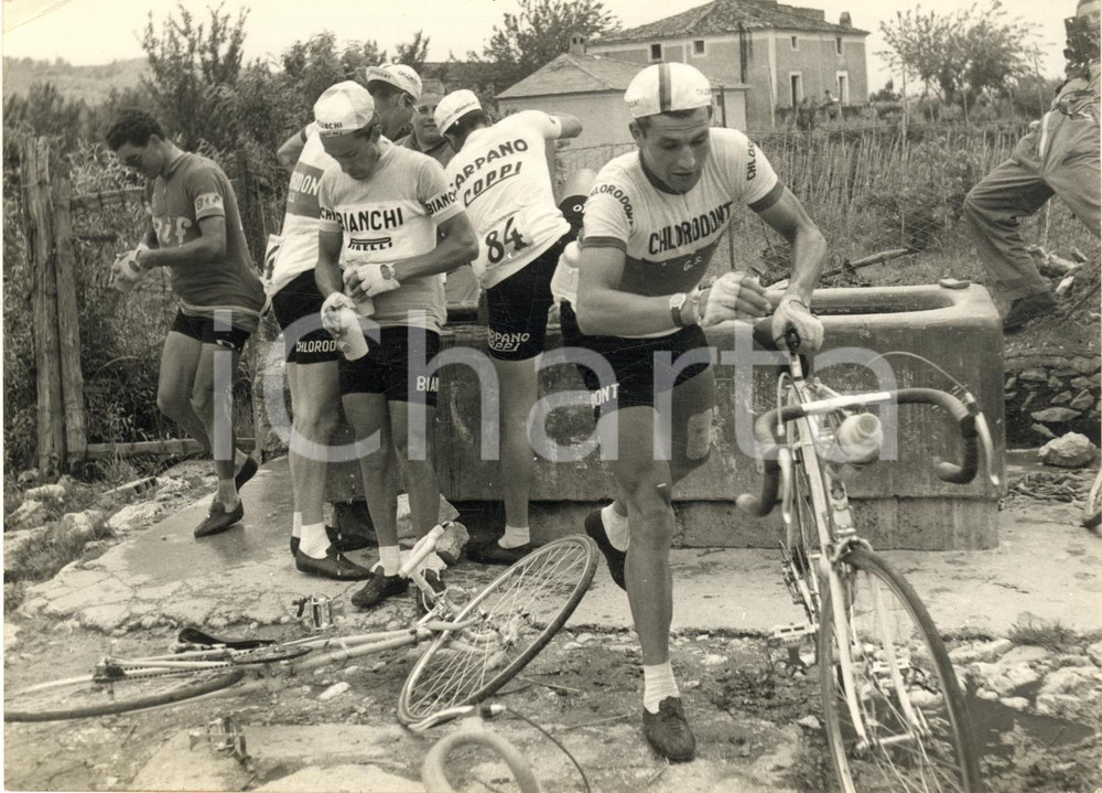 1957 CICLISMO GIRO D'ITALIA Angelo CONTERNO e Bruno TOGNACCINI alle fontane  Fotografia d'epoca con didascalia coeva al verso.  CONDIZIONI: FAIR (lievi sovraimpressioni e piegatura angolare)FORMATO: 18x13 cm    originale e autentica 1