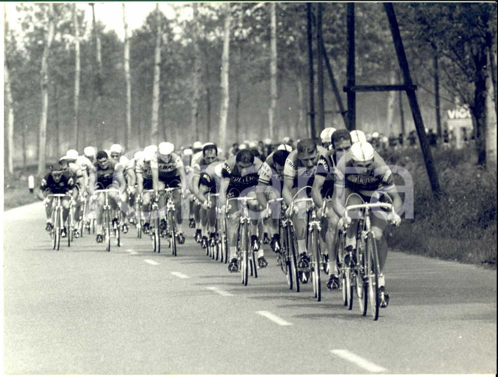1967 CICLISMO GIRO D'ITALIA Tappa TREVIGLIO-ALESSANDRIA Passaggio gruppo - Foto