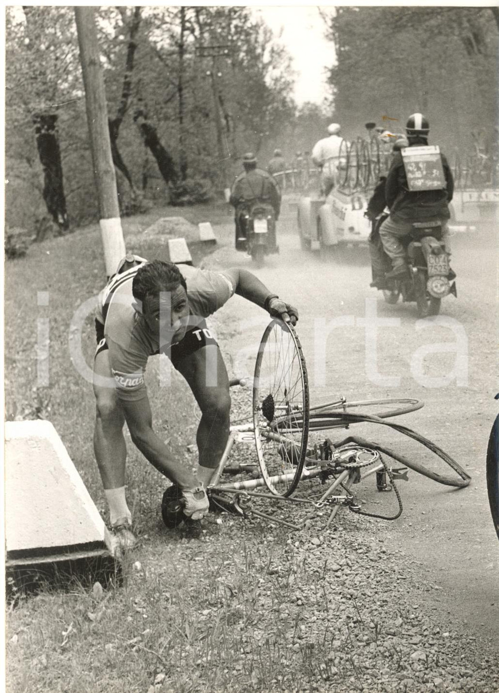 1956 CICLISMO GIRO D'ITALIA Michele GISMONDI fora sul PENICE *Foto 13x18 cm Fotografia d'epoca con didascalia coeva.  CONDIZIONI: G (ma lieve sovraimpressione)FORMATO: 13x18 cm     originale e autentica 1