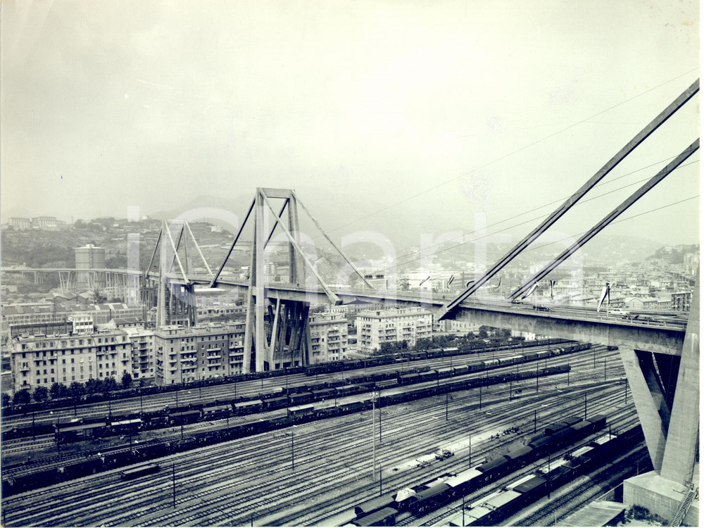 1967 GENOVA Il PONTE MORANDI aperto al traffico dopo l'inaugurazione (2) - Foto 
