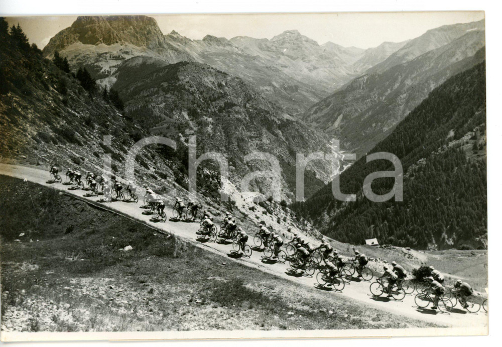 1957 CICLISMO - TOUR DE FRANCE I corridori affrontano salita del COLLE D'ALLOS