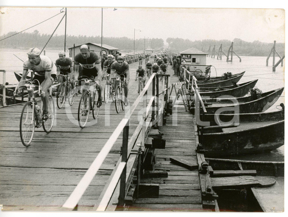 1956 GIRO D'ITALIA - GENOVA-SALICE TERME Ciclisti nei pressi di STRADELLA *Foto