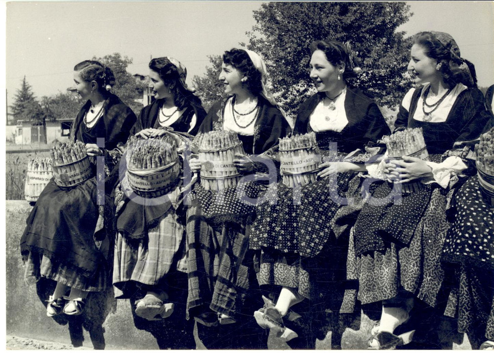 1955 ca CANTELLO Sagra degli asparagi - Donne in costume tradizionale - Foto  Fotografia d'epoca con didascalia coeva al verso. CONDIZIONI: G (ma lieve piegatura marginale)FORMATO: 18x13 cm     originale e autentica 1