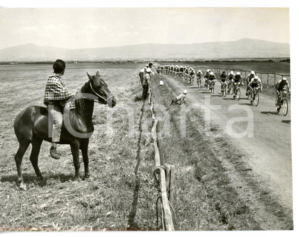 1958 AREA VITERBO Giro d'Italia - Contadini attendono il passaggio dei ciclisti