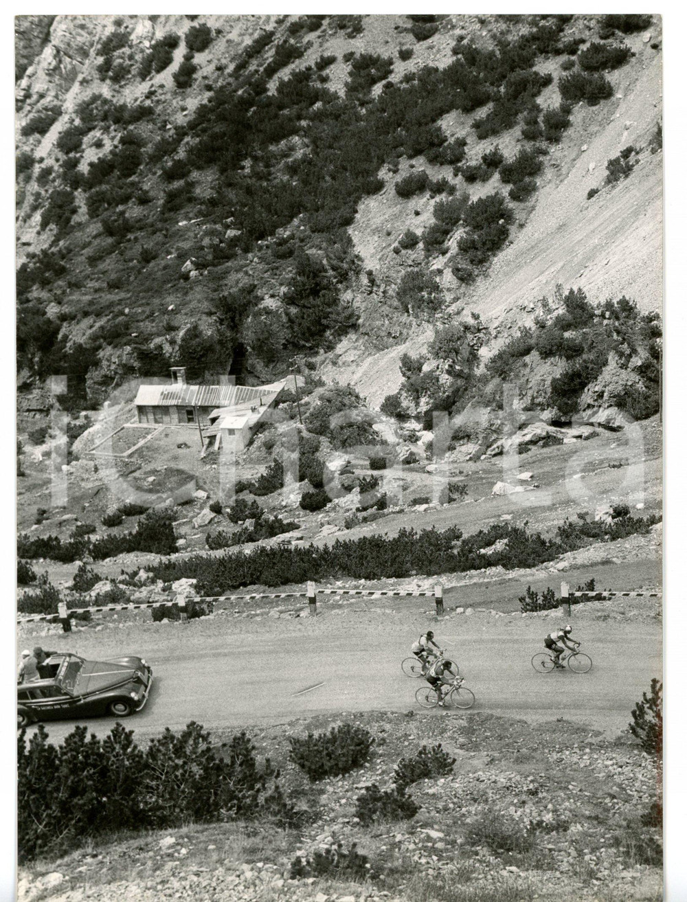 1958 CICLISMO PASSO DELLO STELVIO Giro d'Italia 17^ tappa - Il gruppo in salita Fotografia d'epoca con didascalia coeva al verso. CONDIZIONI: G (ma piccolo difetto di stampa al margine inferiore)FORMATO: 13x18 cm     originale e autentica 1