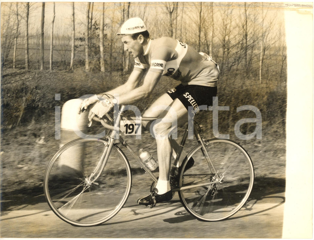 1960 CICLISMO MILANO-SANREMO Romeo VENTURELLI - Squadra SAN PELLEGRINO *Foto Fotografia d'epoca con didascalia coeva al verso. CONDIZIONI: POOR (sovraimpressione al margine inferiore; ingiallimento al margine superiore)FORMATO: 24x18 cm     originale e autentica 1