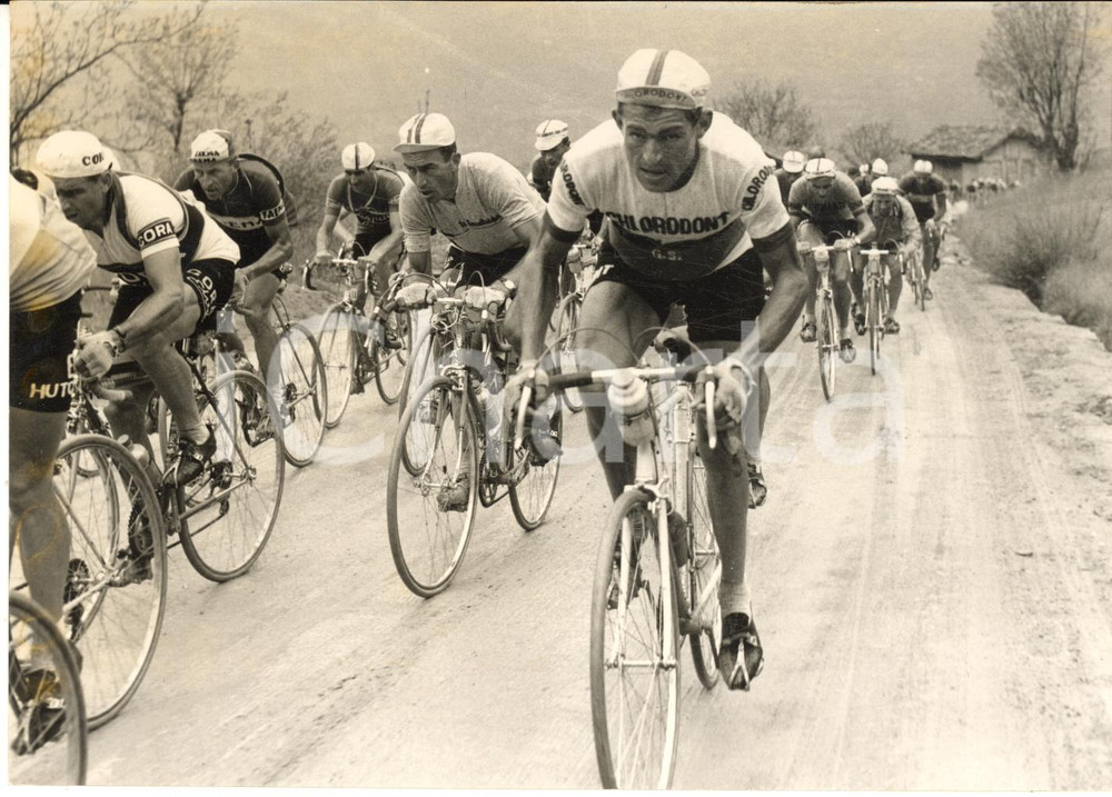 1957 CICLISMO GIRO D'ITALIA Aldo MOSER e Louison BOBET sul Sempione - Foto Fotografia d'epoca, con didascalia coeva. CONDIZIONI: FAIR (lieve impressione)FORMATO: 18x13 cm    originale e autentica 1