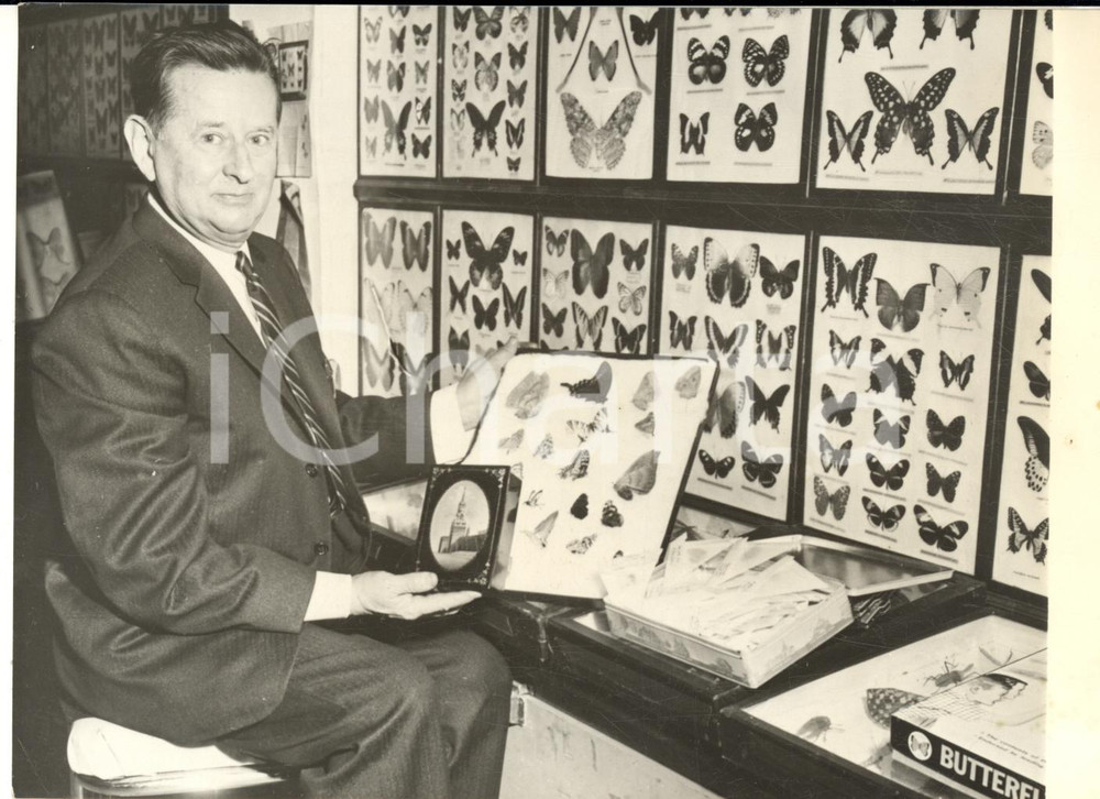 1960 NEW YORK Aminadov GLANZ holds butterflies sent by Sergei KRUSCEV *Photo