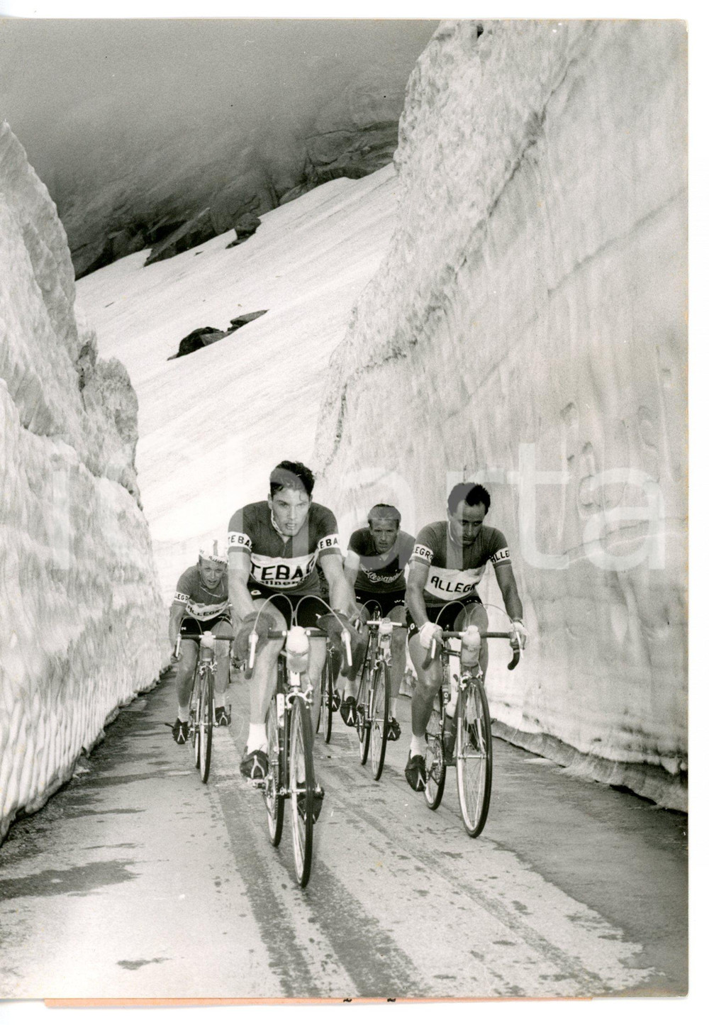 1956 CICLISMO TOUR DE SUISSE GRINDELWALD Rolf GRAF guida gruppo tra i ghiacciai Fotografia d'epoca con didascalia coeva.  CONDIZIONIG (ma piccola piegatura al margine destro) FORMATO: 13x18 cm     originale e autentica 1