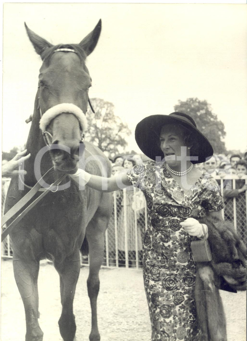1959 CHANTILLY Prix de Diane - Mme THION DE LA CHAUME avec BARQUETTE - Photo Fotografia d'epoca con didascalia coeva al verso.  CONDIZIONI: G FORMATO: 13x18 cm    originale e autentica 1