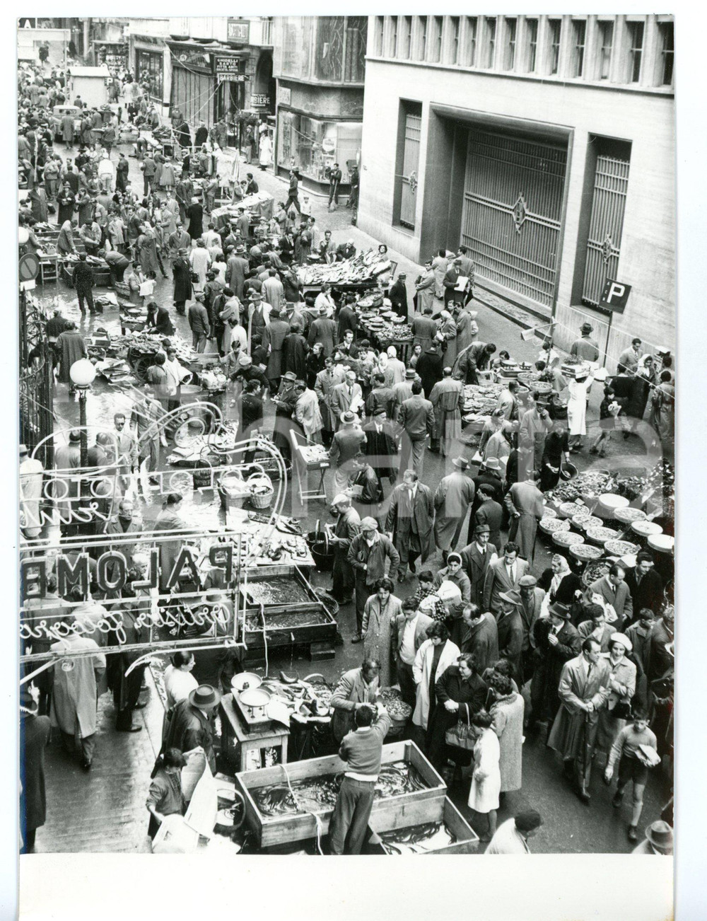 1957 NAPOLI Via Roma - Caratteristico mercato del pesce *Foto COSTUME 13x18 cm Fotografia d'epoca con didascalia coeva.  CONDIZIONI: G FORMATO: 13x18 cm     originale e autentica 1