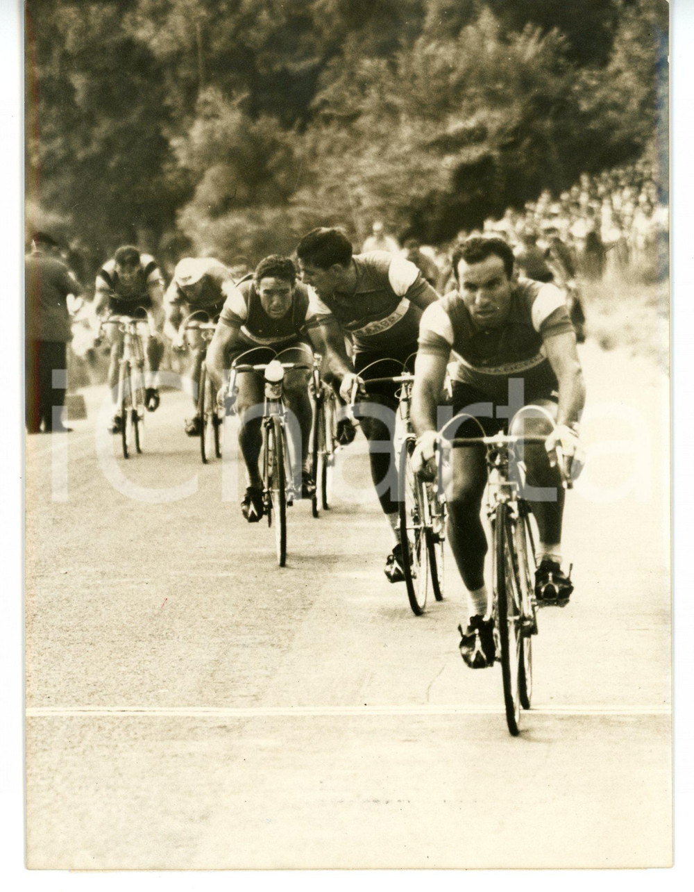 1957 CICLISMO TOUR DE FRANCE Nino DEFILIPPIS - Jean FORESTIER - Pierino BAFFI  Fotografia d'epoca con didascalia coeva.  CONDIZIONI: FAIR (bassa qualit&agrave; di stampa; lieve alone diffuso) FORMATO: 12x16 cm     originale e autentica 1
