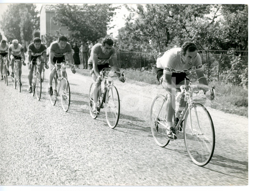 1957 CICLISMO GIRO D'ITALIA Ferrara-Cattolica - Nino DEFILIPPIS e Nino ASSIRELLI Fotografia d'epoca con didascalia coeva.  CONDIZIONI: FAIR (piegatura all'angolo inferiore destro) FORMATO: 18x13 cm     originale e autentica 1