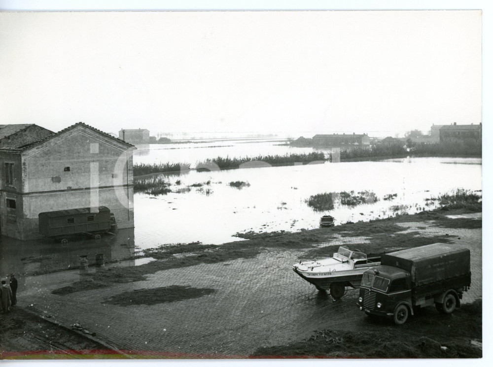 1957 ALLUVIONE POLESINE CAMERINI Campagna allagata *Fotografia 18x13 cm Fotografia d'epoca con didascalia coeva.  CONDIZIONI: G FORMATO: 18x13 cm     originale e autentica 1