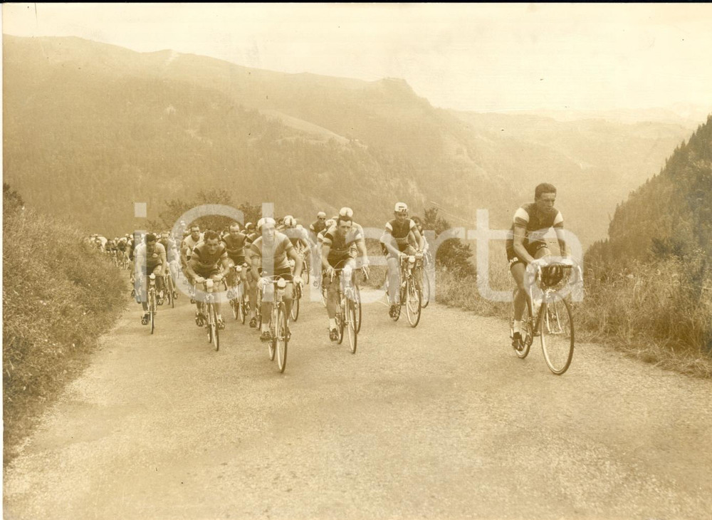 1960 CICLISMO TOUR DE FRANCE Il gruppo presso la Catena des ARAVIS - Foto 18x13  Fotografia d'epoca con didascalia coeva.  CONDIZIONI: fair (alone diffuso) FORMATO: 18x13 cm     originale e autentica 1
