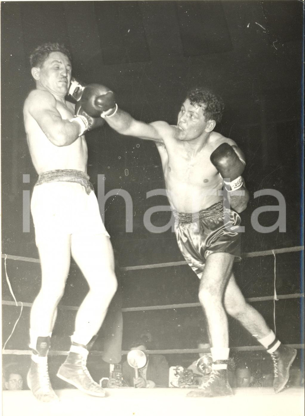 1956 BOXE BOLOGNA Europei Pesi Welter - Emilio MARCONI colpisce Valère BENEDETTO